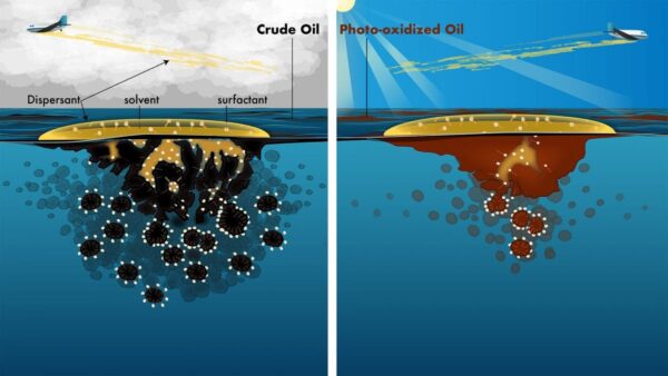دیسپرسنت و آلودگی نفتی